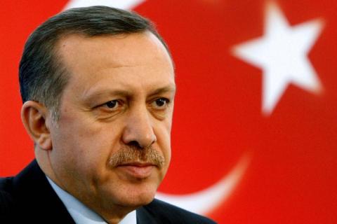 Эрдоган считает проект «Турецкий поток» приемлемым
