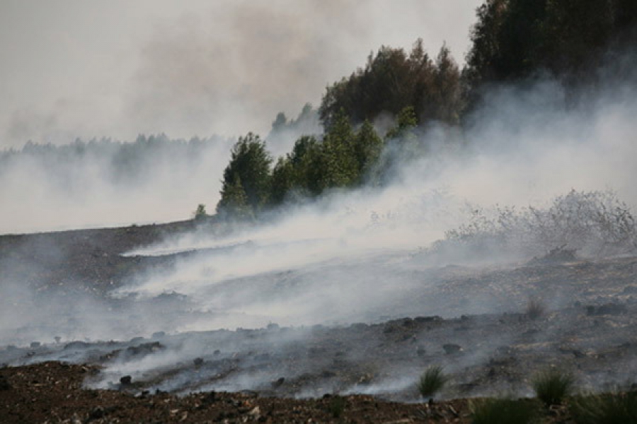 В трёх районах Киевской области горит торф