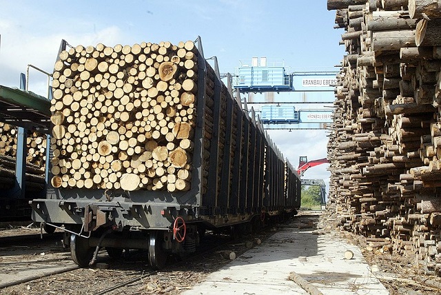 Порошенко запретил экспорт леса в необработанном виде