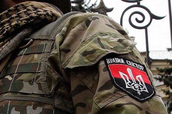 В ОБСЕ заявили, что Правый сектор не подчиняется командованию армии