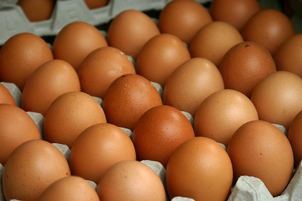 Израиль возобновит импорт украинских яиц