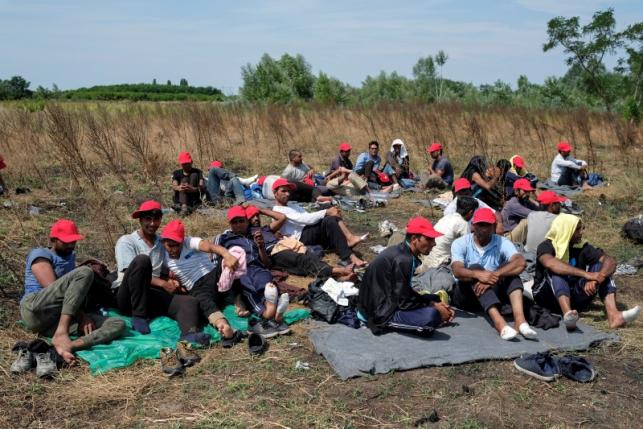Мигранты объявили голодовку на сербско-венгерской границе