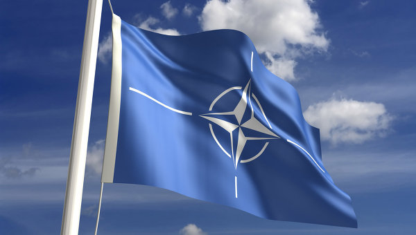 НАТО предоставит больше поддержки Украине и Грузии, – итоговая декларация