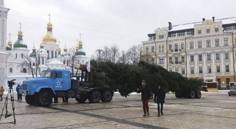 В Киев привезли главную елку страны