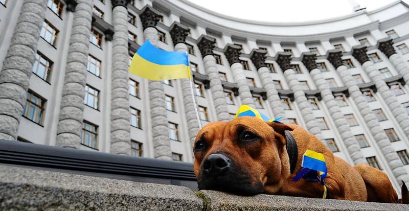 В ЕС украинские реформы назвали беспрецедентными
