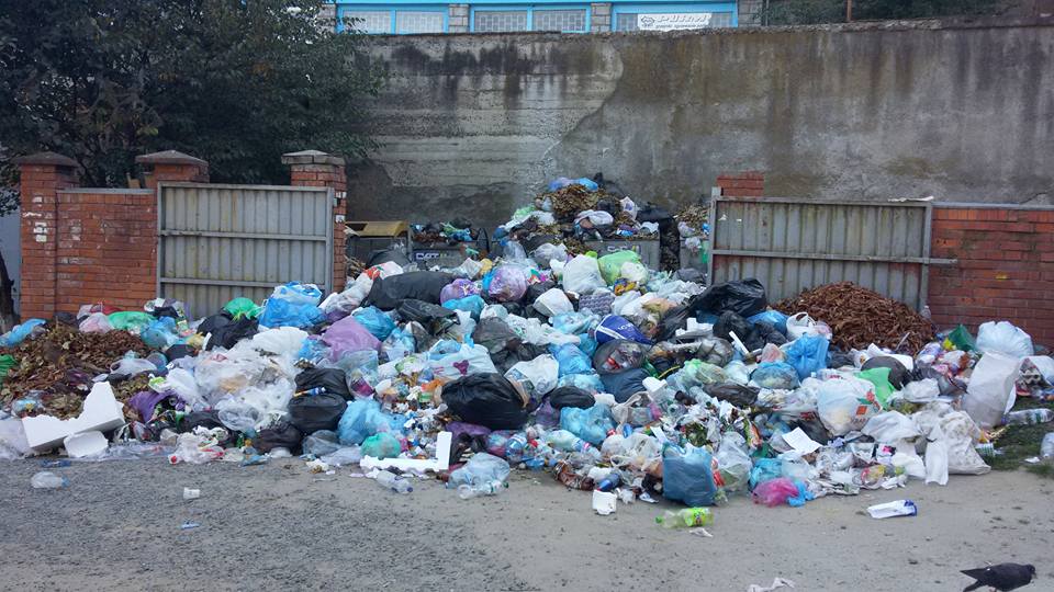 Во Львове не исключают закрытие школ из-за проблем с мусором