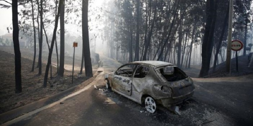 Не менее 57 человек погибли из-за лесного пожара в Португалии
