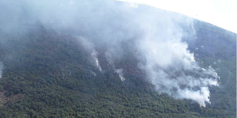 Пожарный самолет ГосЧС приступил к тушению пожаров в Черногории