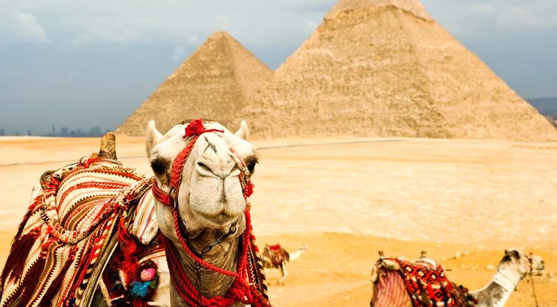 МИД дало советы украинским туристам в Египте
