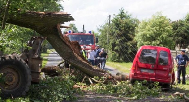 В Польше в результате ураганов погибли пять человек