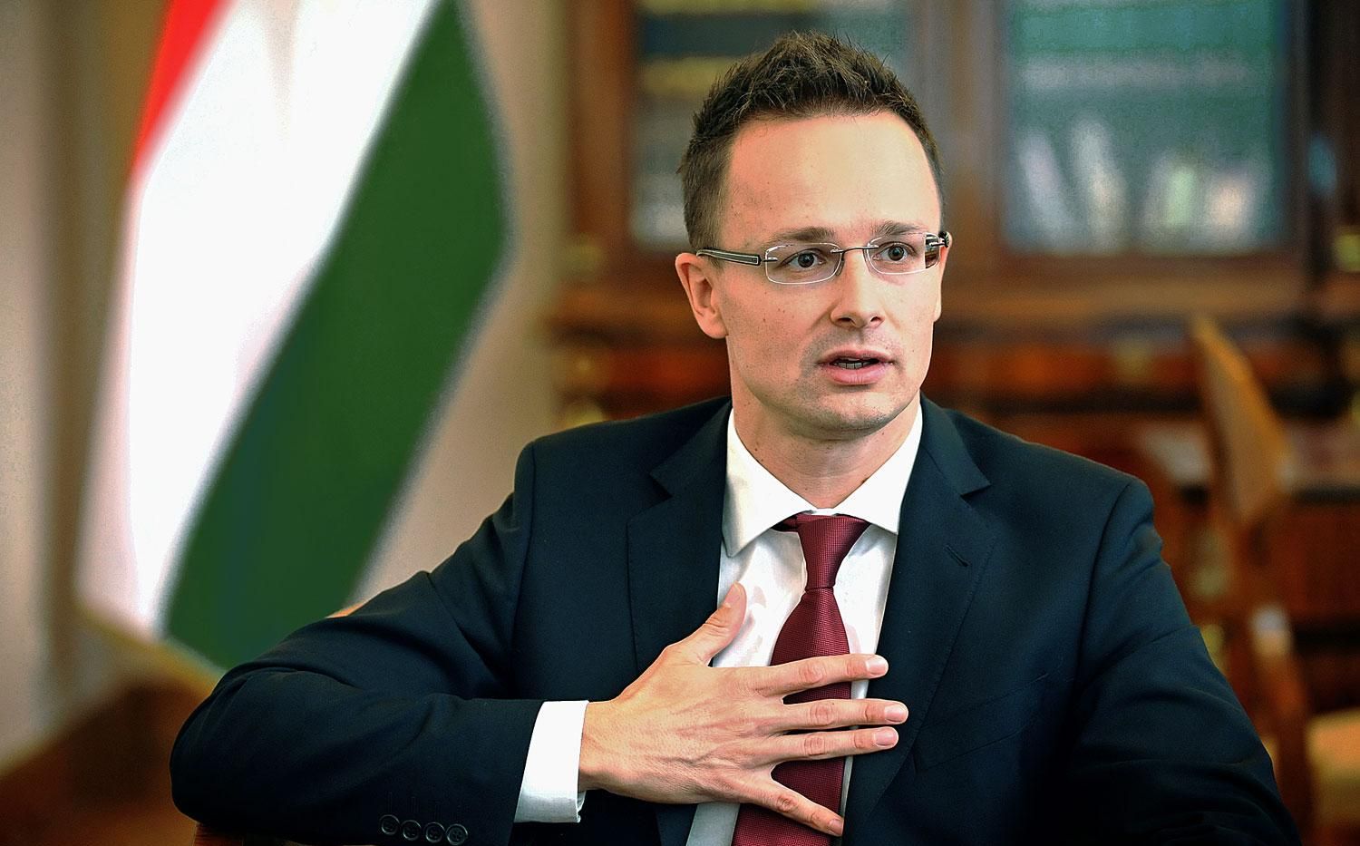 МИД Венгрии: украинский закон об образовании – удар в спину двум странам