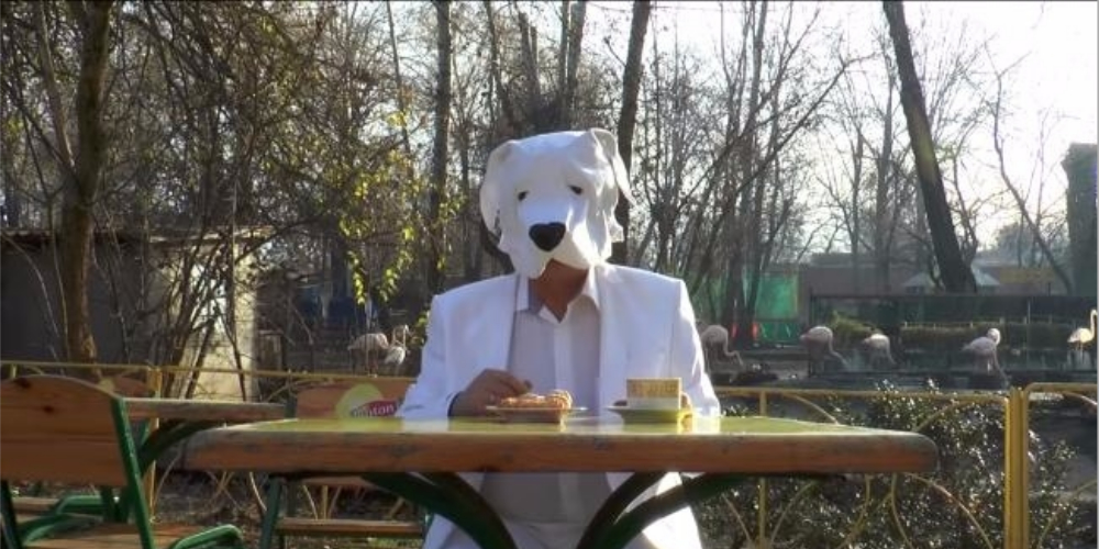 Директор одесского зоопарка записал поздравление в костюме собаки