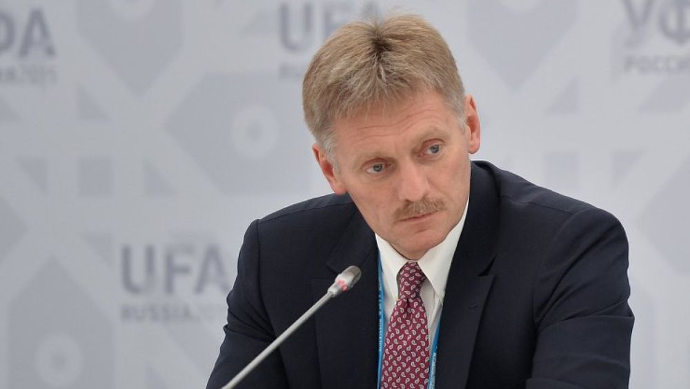 Песков отреагировал на «кремлевский доклад»