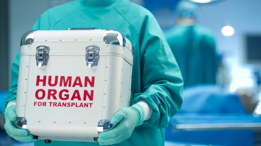 Рада разрешила трансплантацию органов с согласия донора