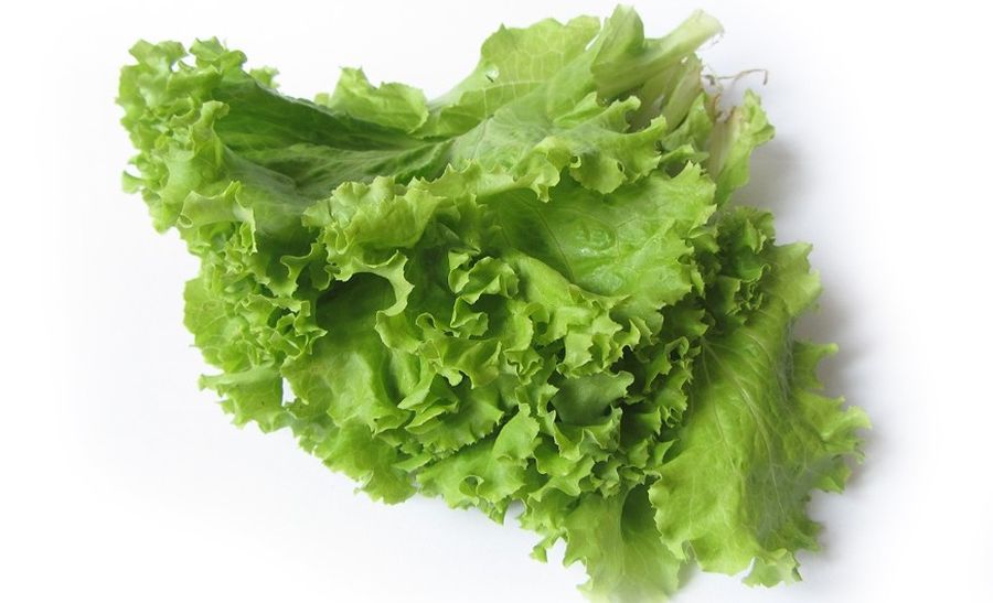 В США около 200 человек отравились салатом, есть жертвы