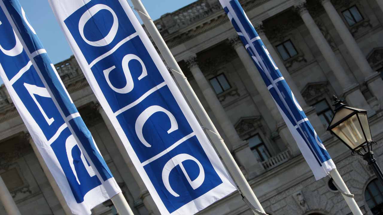 В ОБСЕ назвали условия посещения Крыма своей делегацией