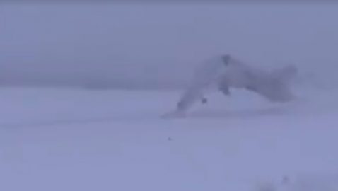 Появилось видео крушения Ту-22 в Мурманске