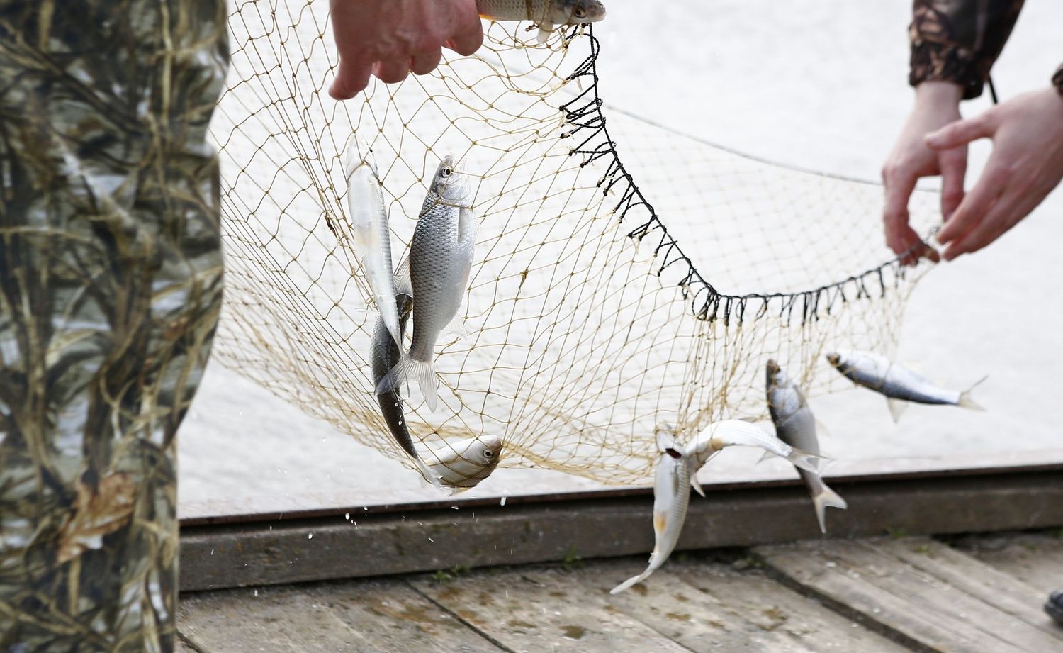 Украина и Россия договорились о вылове рыбы в Азовском море