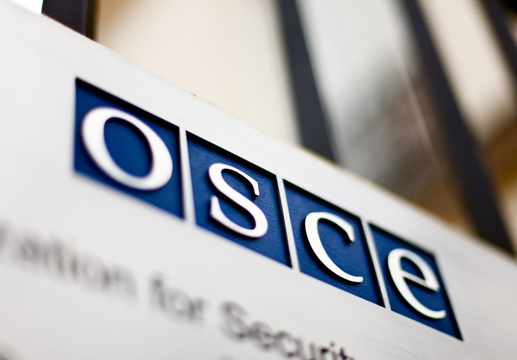В ОБСЕ прокомментировали избиение сотрудницы миссии в Киеве
