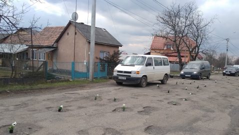В дорожных ямах на Закарпатье «посадили» цветы к приезду Порошенко