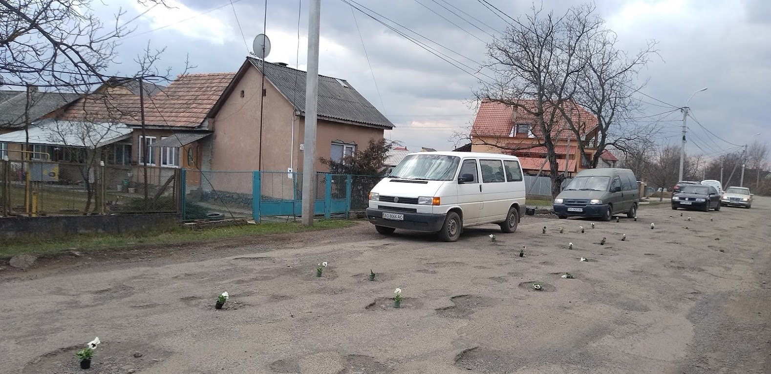 В дорожных ямах на Закарпатье «посадили» цветы к приезду Порошенко