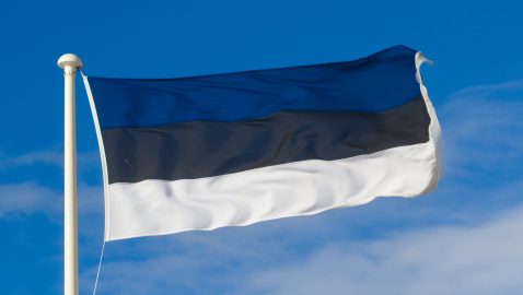 Эстонская разведка назвала Россию главной угрозой для страны