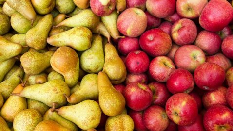 ЕС остановил импорт фруктов и овощей из Украины