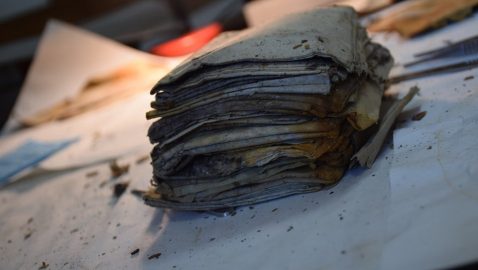 В лесах Прикарпатья нашли документы УПА