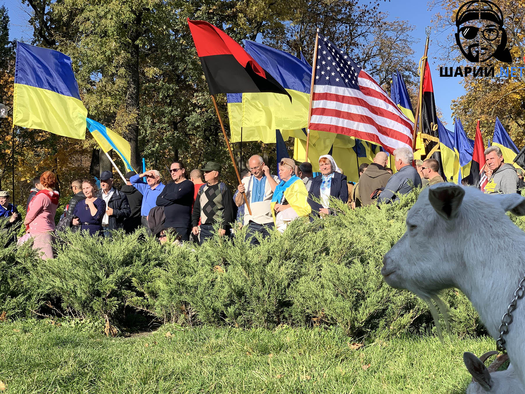 Курьезы марша УПА: козы, дети и флаг США
