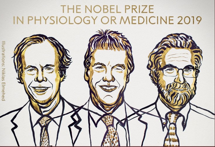 Объявлены лауреаты Нобелевской премии по медицине