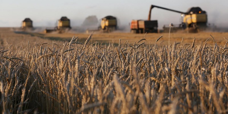 Европейские фермеры просят разрешить им покупать землю в Украине
