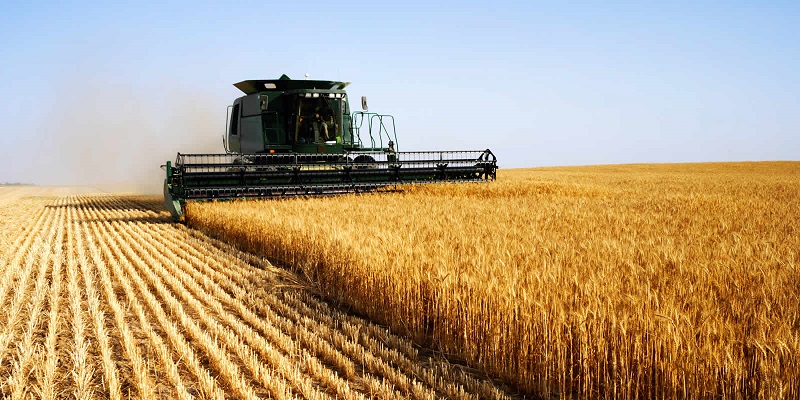 Украина обогнала Китай по экспорту сельхоз продукции в ЕС