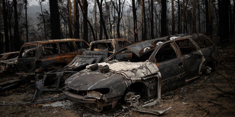 Австралия отказалась от помощи Украины в ликвидации последствий лесных пожаров