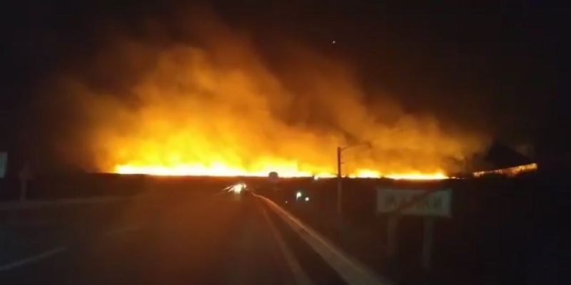 Штормовой ветер раздул пожар в заповеднике под Одессой
