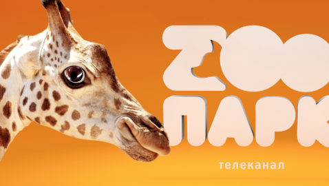 Нацсовет запретил ретрансляцию российского «Зоопарка»