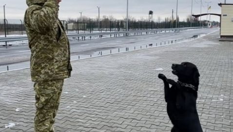 Пограничники научили собаку отвечать на лозунг «Слава Украине»