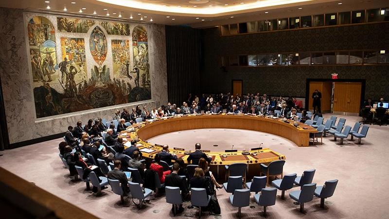 В Совбезе ООН США призвали Россию прекратить операцию в Сирии