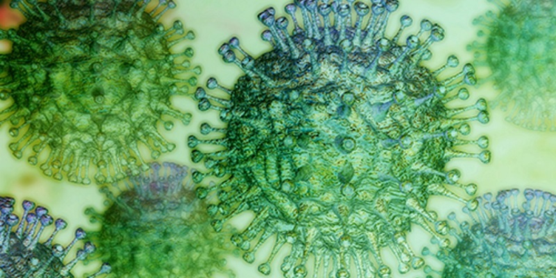 Ученые выяснили благоприятную для коронавируса температуру