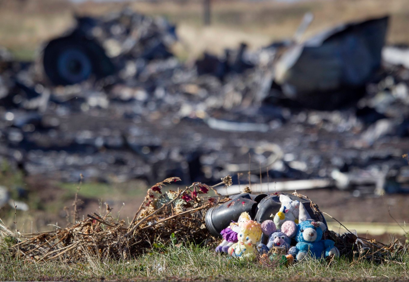 На суде по MH17 свыше 80 человек потребуют компенсацию