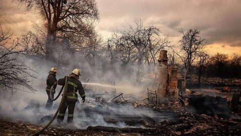 Гослесагентство: пожары на Житомирщине – самые масштабные за 24 года