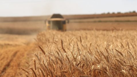 Саудовская Аравия впервые купила украинскую пшеницу