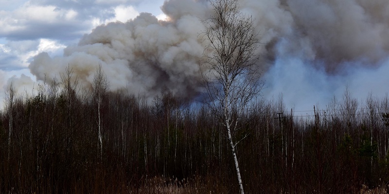 В ГСЧС объяснили, почему до сих пор не потушили пожары на Житомирщине - 3 - изображение
