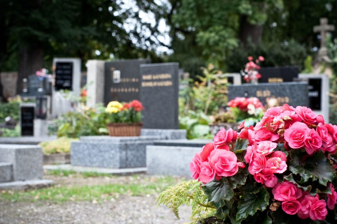 В Киеве кладбища будут закрыты до лета