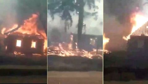 Появилось видео горящего села на Житомирщине