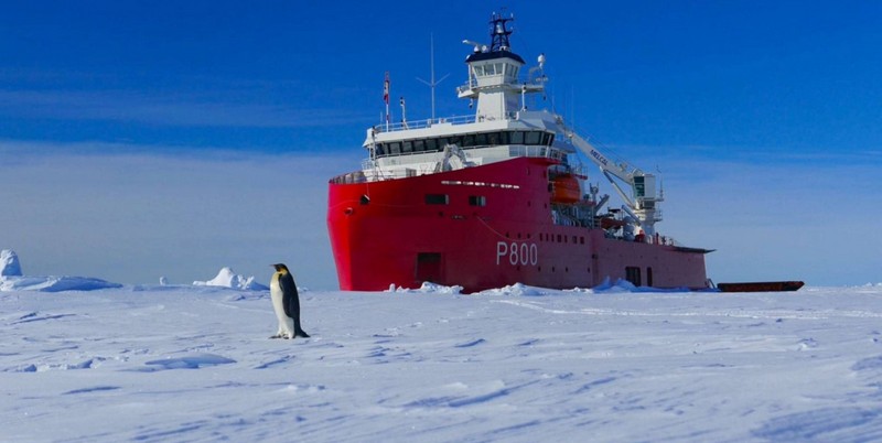 Трамп поручил создать полярный флот из ледоколов