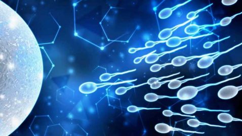 Банк спермы огласил конкурс среди студентов на самые быстрые сперматозоиды: что получат участники