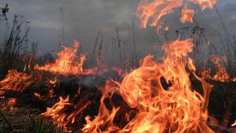 Во Львове заживо сгорела сторож детского сада, сжигая мусор