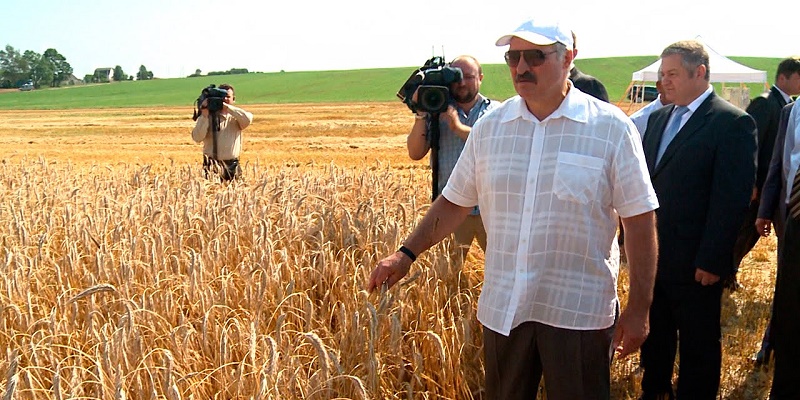 Лукашенко: протестующую молодежь нужно отправить в поле на перевоспитание
