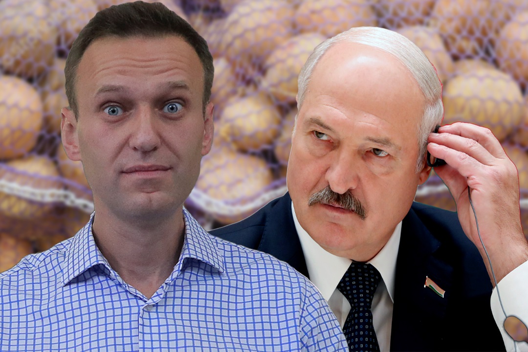 В Германии отреагировали на заявление Лукашенко о фальсификации отравления Навального