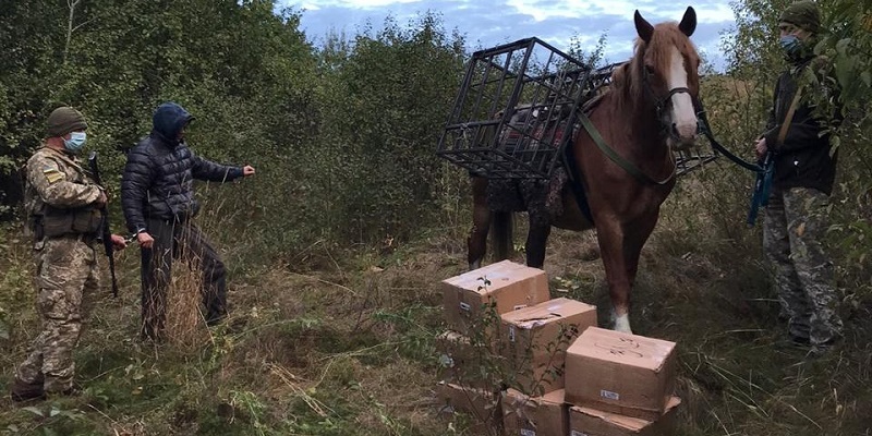 Под Харьковом пограничники со стрельбой задержали контрабандиста на коне